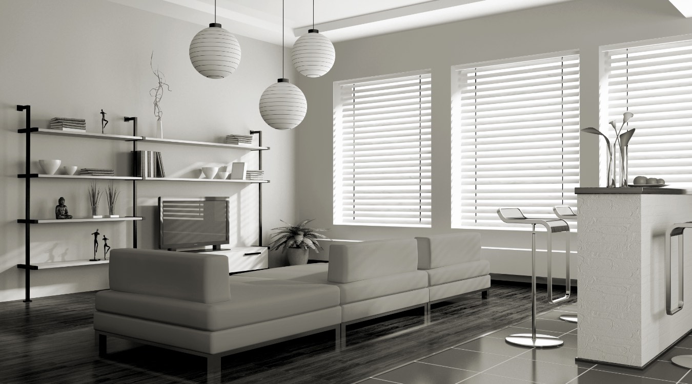 white blinds in Houston