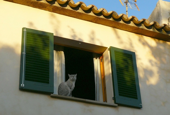 Outside shutters in Mediterranean home.