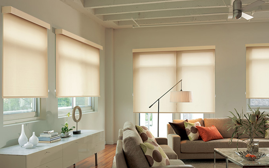 Cellular Vs Roller Shades